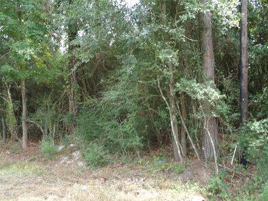 31807 Charter Ln, Waller, TX 77484 - photo 2