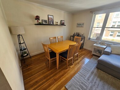 80 Strathmore Rd unit 4, Brighton, MA 02135 - photo 3