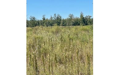 0 NE 35th Ave unit 129202, Bronson, FL 32621 - photo 2