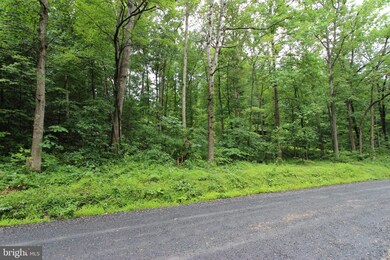 lot 8 Eagles Crag Rd, Shenandoah, VA 22630 - photo 4