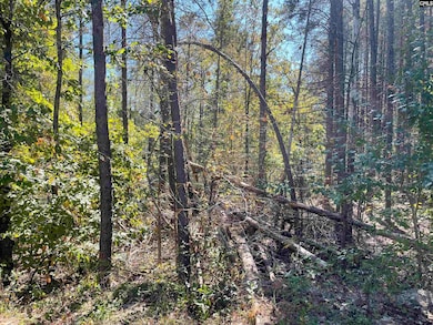 1809 Louise Ct, Lugoff, SC 29078 - photo 7