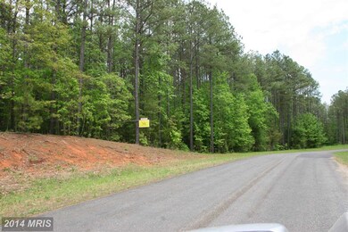 0 Terry's Run Rd unit 1002993710, Unionville, VA 22567 - photo 2