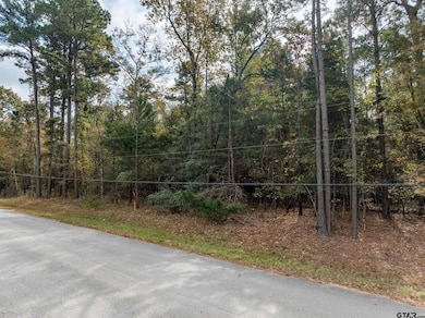 0 Pintail Dr, Flint, TX 75762 - photo 2