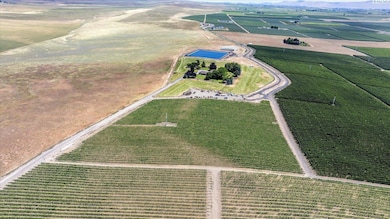 170732 Olsen Rd, Grandview, WA 98930 - photo 5