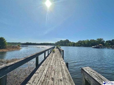 1636 Ralph Bell Rd, Summerton, SC 29148 - photo 7