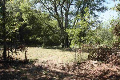 0 Holly Springs Rd unit 265706, Inman, SC 29349 - photo 7