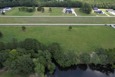 1441 Bojo Cir unit Lot 29, Manning, SC 29102 - photo 3