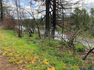 22255 Jennie Rd, Lyons, OR 97358 - photo 4