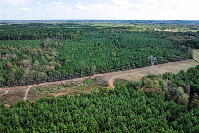 00 County Road 857, Nacogdoches, TX 75964 - photo 3