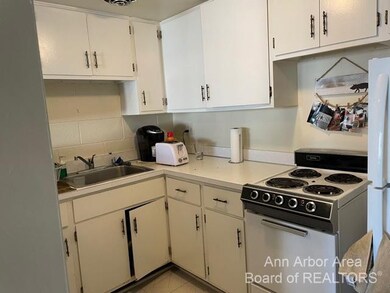 442 S 1st St unit 3, Ann Arbor, MI 48103 - photo 6