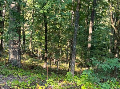 323 Red Oak Cove, Saulsbury, TN 38067 - photo 4