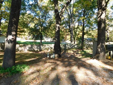 .backyard2