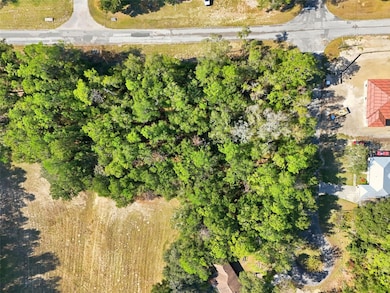 10441 N Biscayne Dr, Citrus Springs, FL 34434 - photo 6