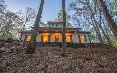 Additional View