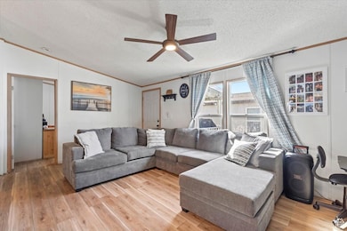 Living area with ornamental molding, a textured ceiling, light wood-style floors, vaulted ceiling, and a ceiling fan