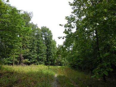 59 Acres Hyde (Wc 3270) Rd, West Fork, AR 72774 - photo 5