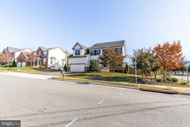 4719 Barnum Ln, Alexandria, VA 22312 - photo 4