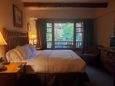 7 Whiteface Inn Ln unit 205 Int 11, Lake Placid, NY 12946 - photo 6