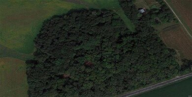 0 Holcomb School Rd, Freeburg, IL 62243 - photo 4