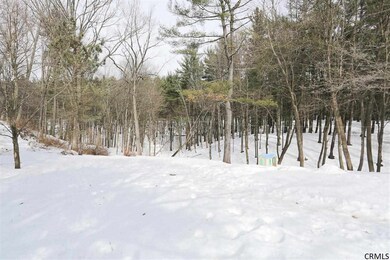 127 Font Grove Rd, Slingerlands, NY 12159 - photo 5