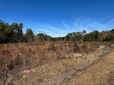 940 Fauling Rd, Saint Stephen, SC 29479 - photo 7