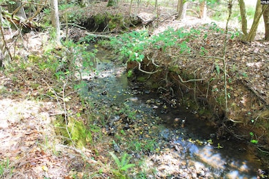 TBD Crooked Creek Rd, Chapin, SC 29036 - photo 7