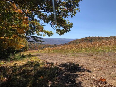 906 Wolfe Rd, Covington, VA 24426 - photo 6