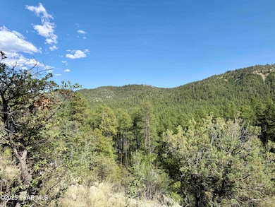 5980a Old Walker Rd, Prescott, AZ 86303 - photo 3