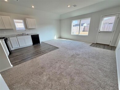 Open living area and kitchen