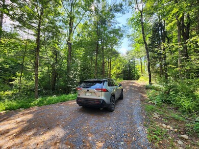 4255 Factory Rd, Natural Bridge, NY 13665 - photo 6