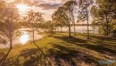 Lot 45 County Road 115, Cedar Bluff, AL 35959 - photo 4