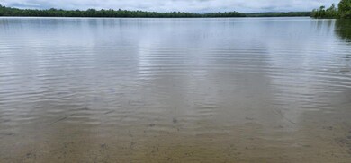 Lot 23 Black Point Rd, Danforth, ME 04424 - photo 5