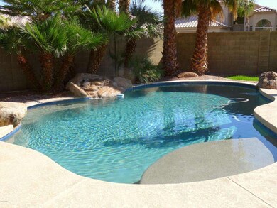 06 Sycamore Pool 2