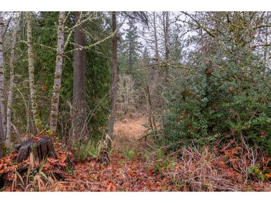 38353 SW Laurelwood Rd, Gaston, OR 97119 - photo 6