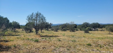 Tract 6 Lehne Loop, Buchanan Dam, TX 78609 - photo 6