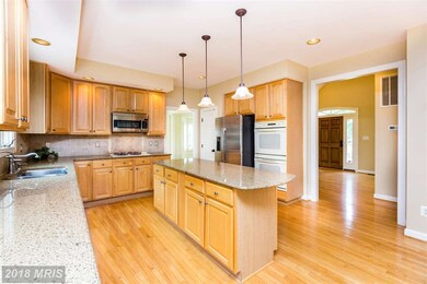 11024 Hidden Fox Ct, Ellicott City, MD 21042 - photo 6