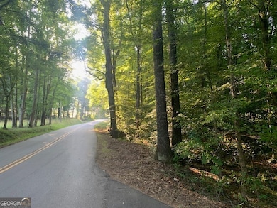 4301 Harold Whelchel Rd, Gainesville, GA 30506 - photo 3