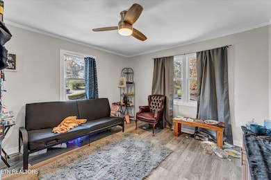 558560 W Outer Dr, Oak Ridge, TN 37830 - photo 4