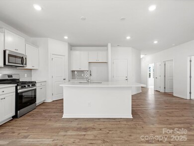 1073 Mapletree Ln, Indian Trail, NC 28079 - photo 4