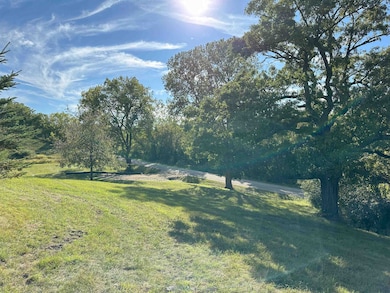 Lot 1 CSM 5621 Hustad Valley Rd, New Glarus, WI 53574 - photo 3