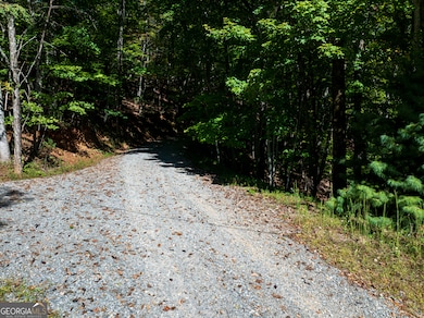 LOT 3- 2.3 ACRE Arrowhead Dr, Mineral Bluff, GA 30559 - photo 7