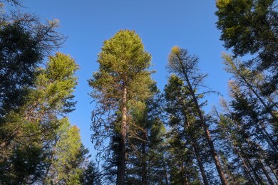 2019_04_30 Whitefish Hills-1-7