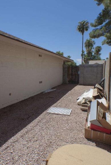 Backyard 4