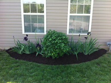 Daniel Extensive Landscaping