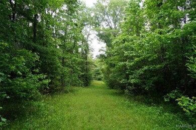 25940 Troy Hwy, Ramer, AL 36036 - photo 7