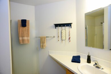 13 Master Bathroom
