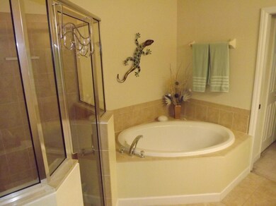 Master Bathroom Tub