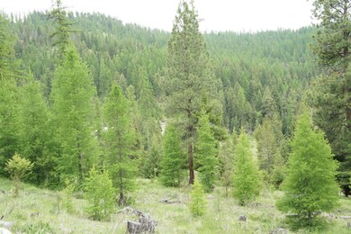 1100 Spring Hill Rd, Kila, MT 59920 - photo 4