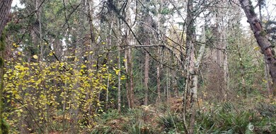 256 XX 86th Ave E, Graham, WA 98338 - photo 7