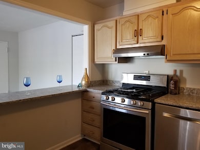 3132 Brinkley Rd unit 204, Temple Hills, MD 20748 - photo 3